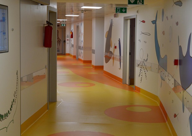 Torino, salvato da un trapianto il bimbo che viveva con un cuore artificiale Torino, salvato da un trapianto il bimbo che viveva con un cuore artificiale