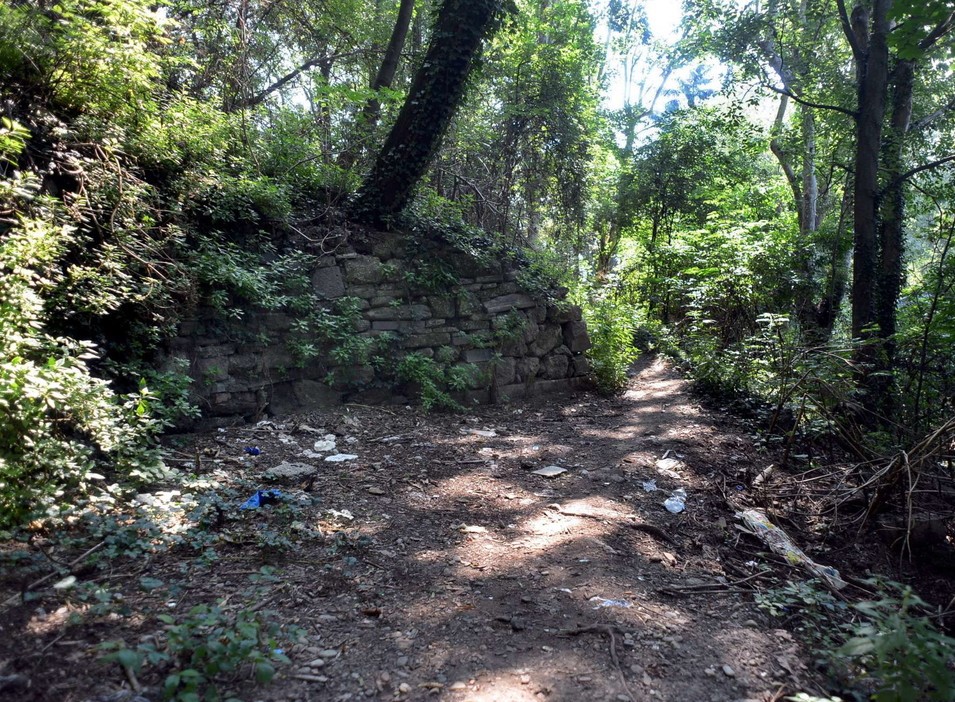 Milano, donna violentata al Monte Stella: fermato un 24enne