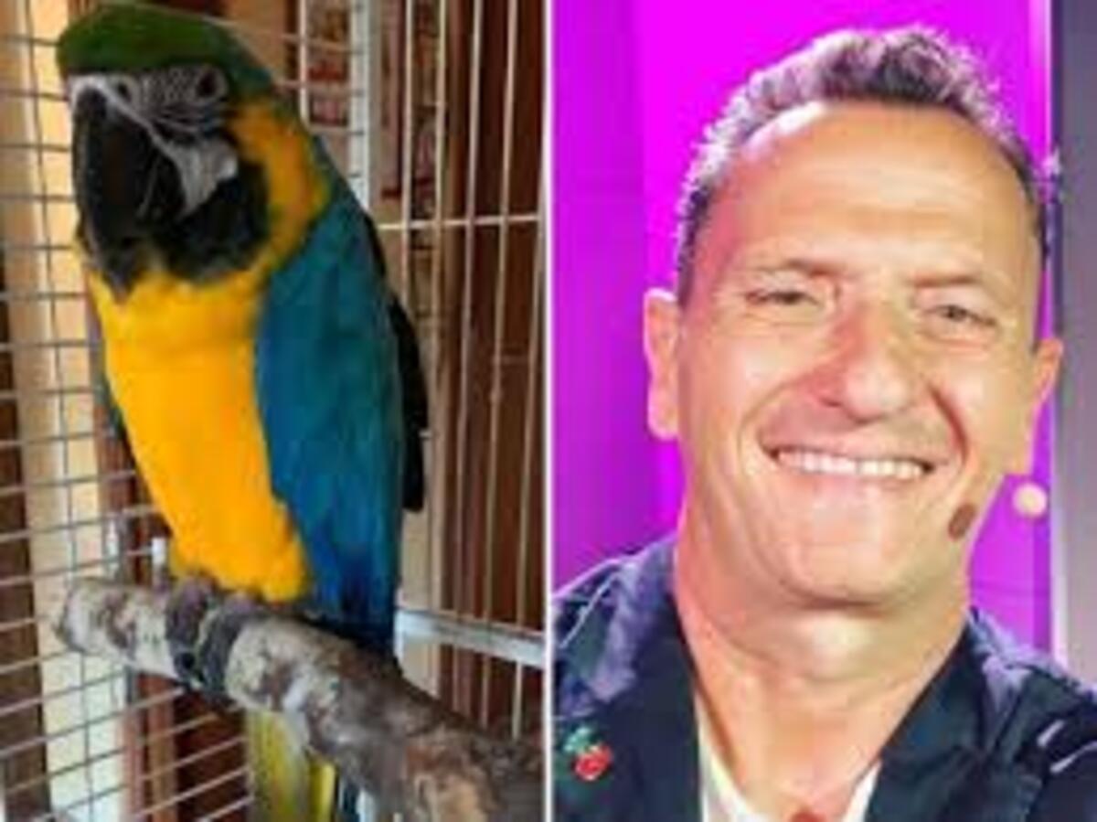 Enzo Salvi e il pappagallo, dai sassi alla guarigione