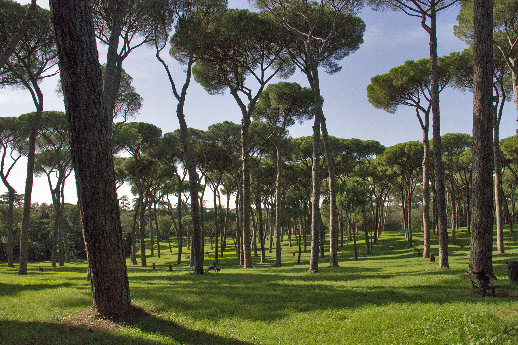 Roma: donna e bambina ritrovate morte a Villa Pamphili